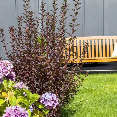 Apartament Elegantes-apartment-ankerplatz-duhnen Cuxhaven